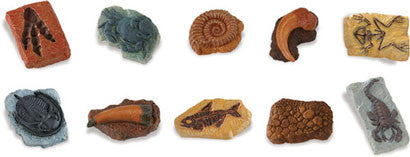 Miniature - Fossils, Ancient (10-Pieces)