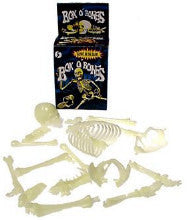 Human Skeleton Bones (16-Pieces)