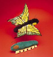 Caterpillar/Butterfly (Represents Transformation/Change)