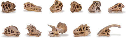 Miniature - Dinosaur Skulls (11-Pieces)