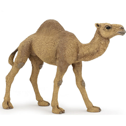 Miniature - Camel