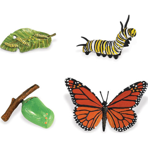 Life Cycle of a Monarch Butterfly Set (4-Figures)