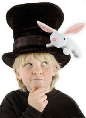 Magician Hat (w/Detachable Rabbit)