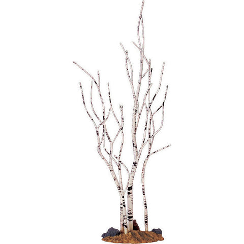 Miniature Birch Tree