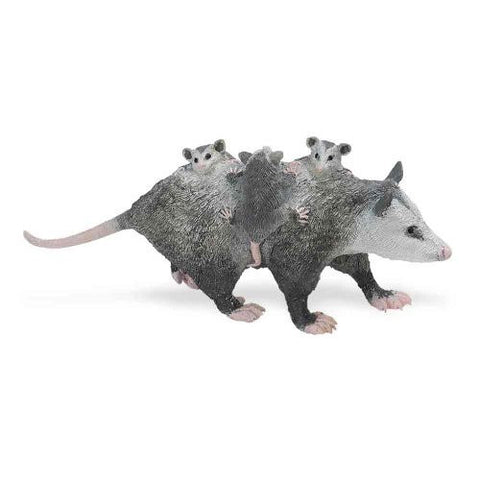 Opossum with Babies