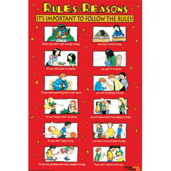 Rules & Reasons Poster 24" x 36" (LAMINATED)