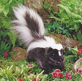 Skunk Puppet with Poseable Tail